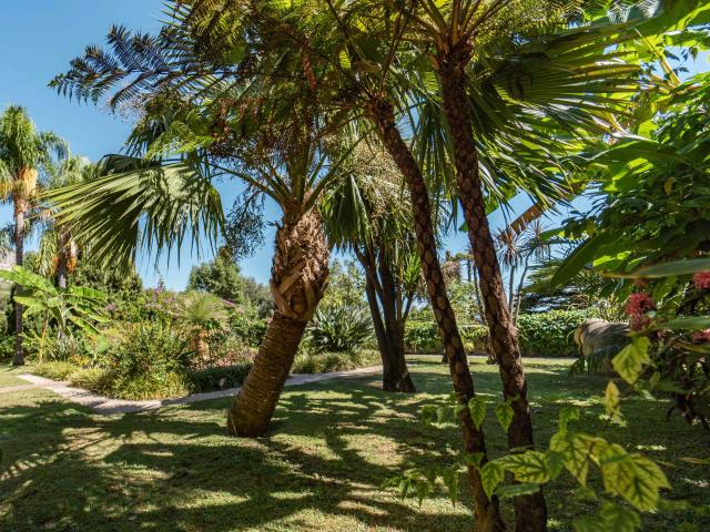 Jardin Du Val Rahmeh à Menton