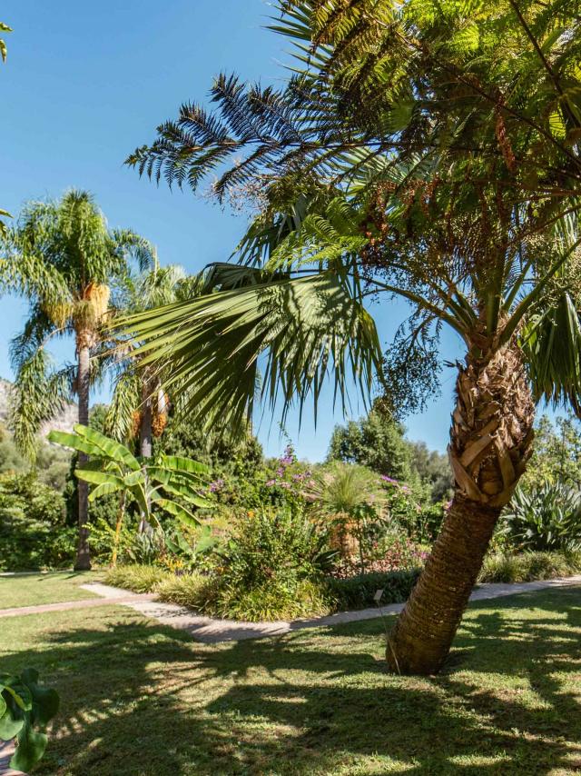 Jardin Du Val Rahmeh à Menton