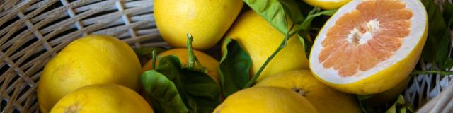 Panier avec des citrons de Menton