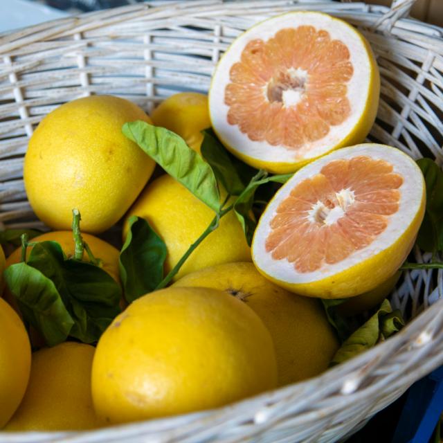 Panier avec des citrons de Menton