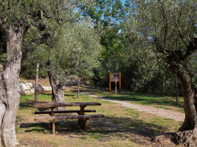 Cros De Caste Roquebrune Cap Martin