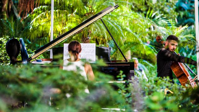 Festival de Musique - jardins