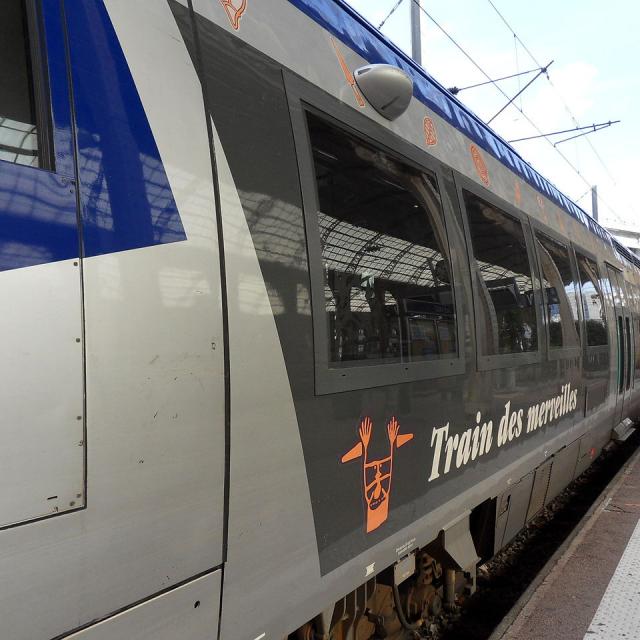 Gare De Nice Train Des Merveilles