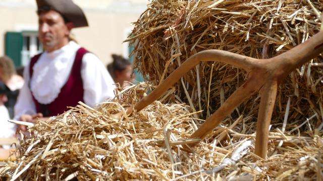 Fête de l'orme à Gorbio