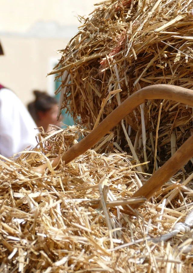 Fête de l'orme à Gorbio