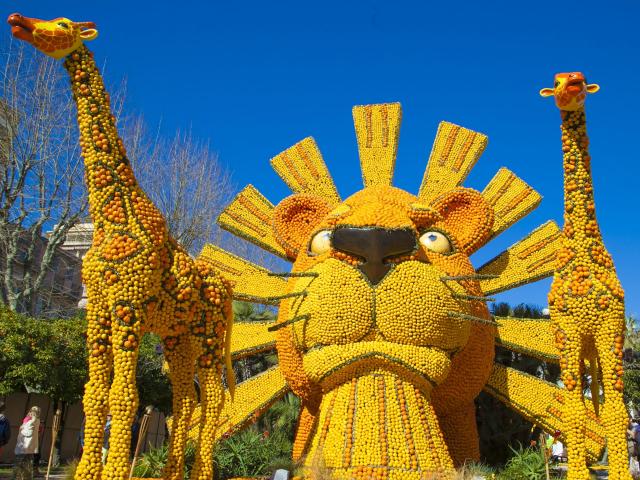 Fête Du Citron® à Menton : Motif d'agrumes dans les jardins Biovès