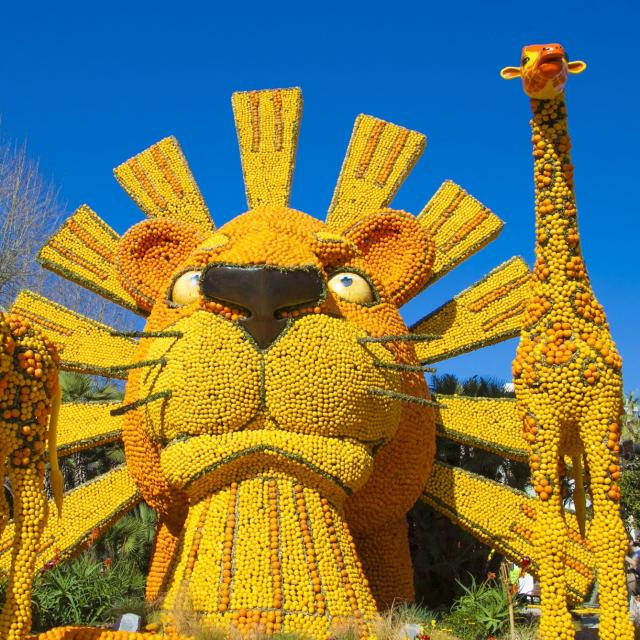 Fête Du Citron® à Menton : Motif d'agrumes dans les jardins Biovès