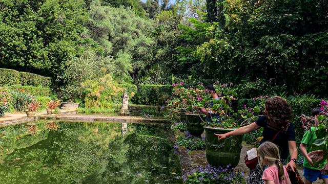 Jardin Serre De La Madone à Menton