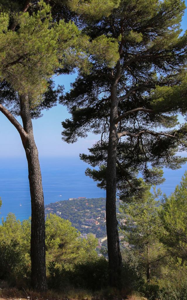 Parc Du Cros De Casté