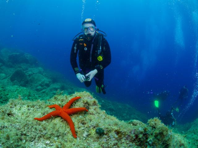 Pratiquer Une Activite Plongee Sous Marine