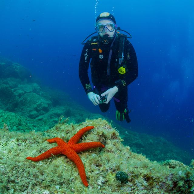 Pratiquer Une Activite Plongee Sous Marine