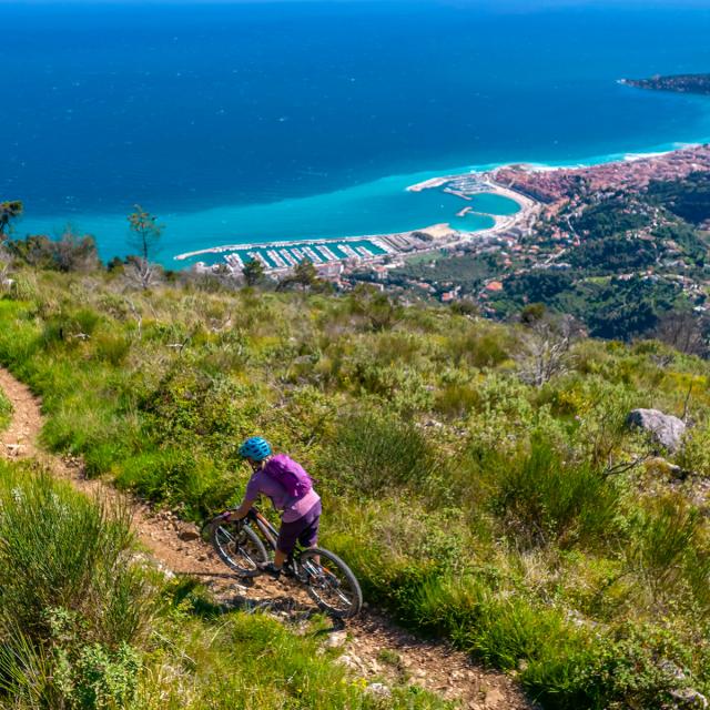 Vtt Plan Du Lion