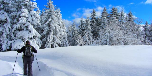 Raquette À Neige En Roya ©orgaya