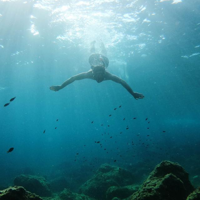 Plongée dans la mer Méditerranée.JPG