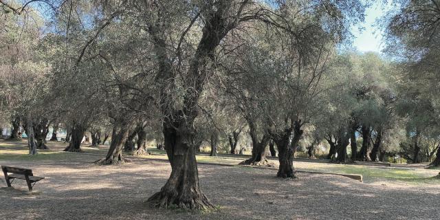 Parc du Pian à Menton