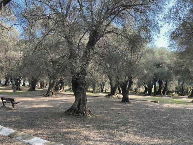 Parc du Pian à Menton