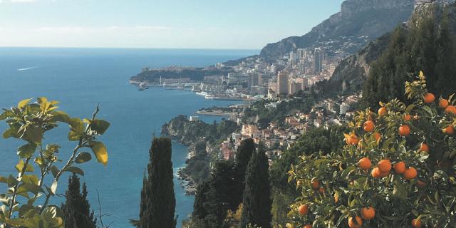 Vue depuis le Chemin de Menton à Roquebrune Village