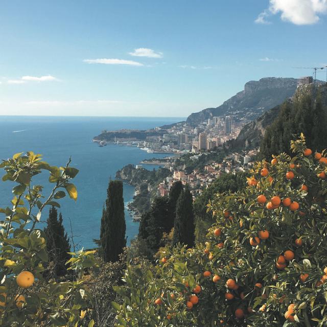 Vue depuis le Chemin de Menton à Roquebrune Village