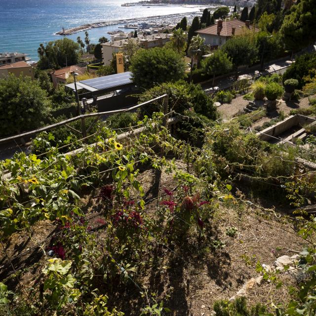 Vue sur Menton depuis le jardin du restaurant 