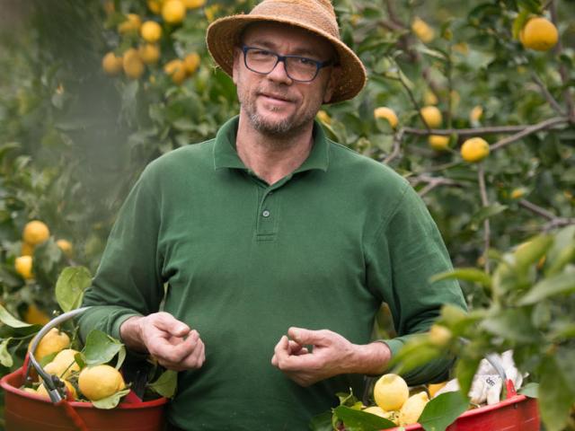 Laurent Gannac, fondateur de la Maison Gannac dans sa citronneraie.