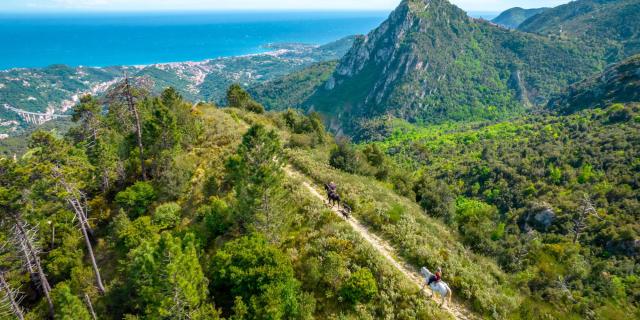 Randonnée à cheval à Sainte-Agnès