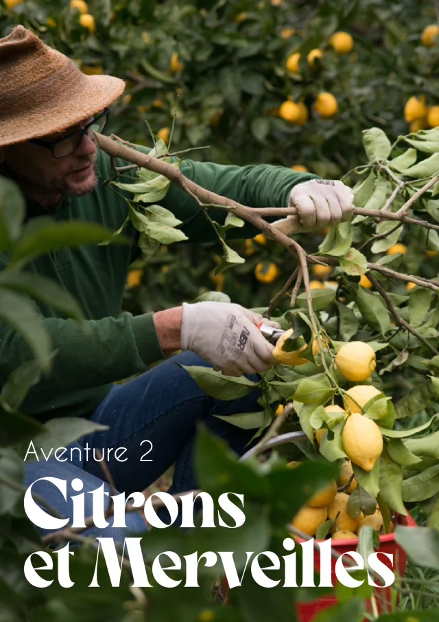 Citrons et Merveilles Aventure 2