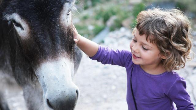 Petite fille avec un âne