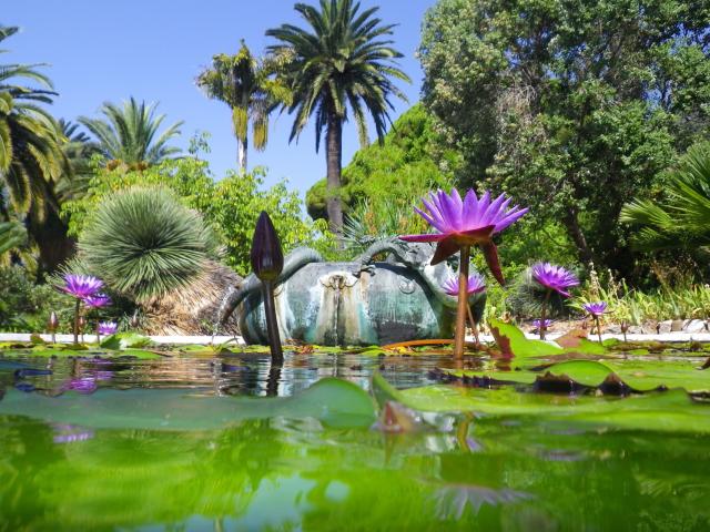 Jardin Maria Serena Bassin Ville De Menton Patrick Varotto