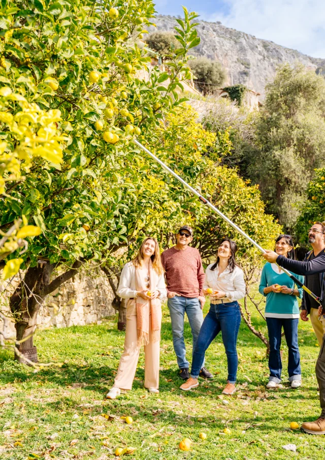 Pepiniere Dagrumes La Casetta Menton Visite Guidee Lesconteurs 1