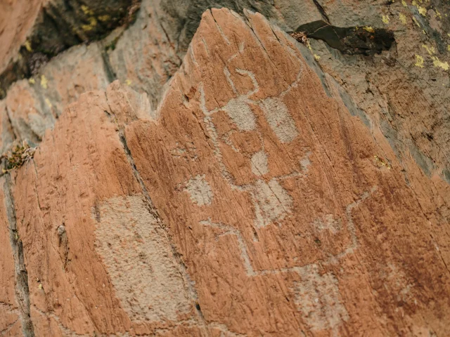 Visite Guidee Gravures Prehistoriques Vallee De Fontanalbe Parc National Du Mercantour Pango Visual