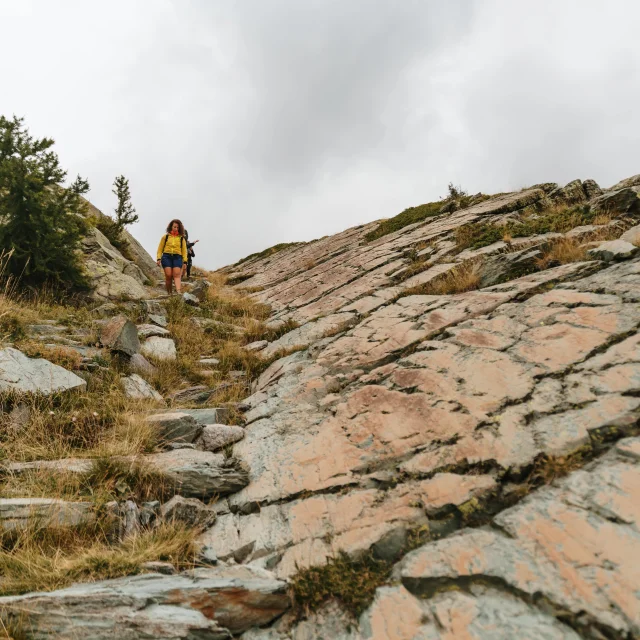 Visite Guidee Gravures Rupestres Vallee De Fontanalbe Parc National Du Mercantour Voie Sacree Pango Visuals